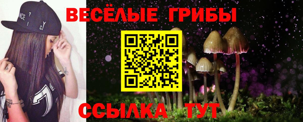 Галлюциногенные грибы GOLDEN TEACHER  Вход с VPN  Галлюциногенные грибы мицелий  Ангарск 